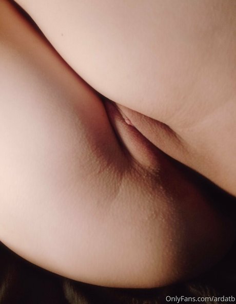 ardatb model high quality img