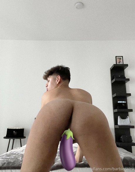 thebarbieetwink star porn photos