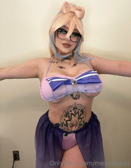 meowburst Photo Gallery