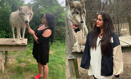 sex scene onlyfans exclusive image