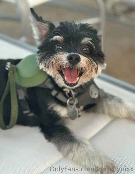 naughty onlyfans beautiful naked gallery