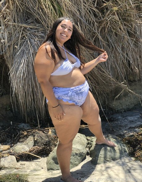 feederandfeedee star art galleries