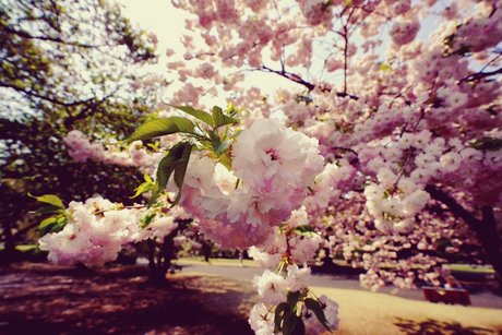 Muscle tanman star naked archive