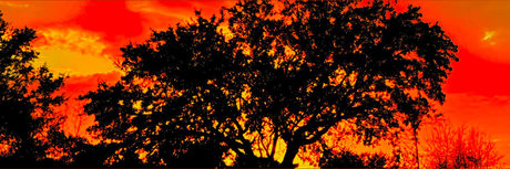 Georgian Hung 94 xxx actress picture