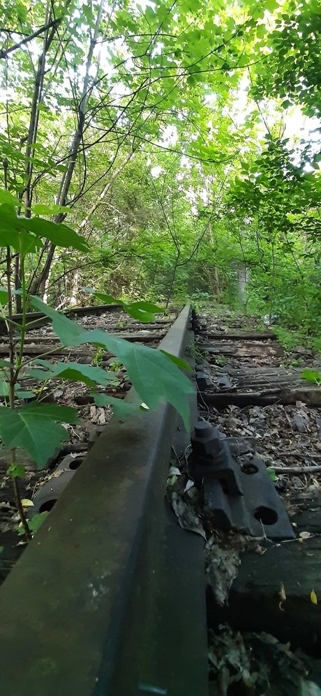 FloriS sex pornstar images