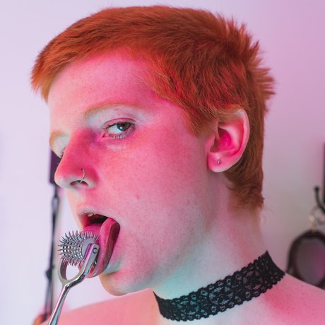 Vex Venom star beautiful gallery