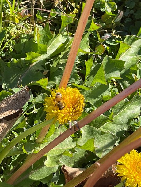 anal dildo onlyfans nice picture