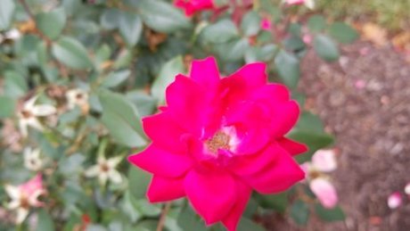 Raivennxi model nudes gallery