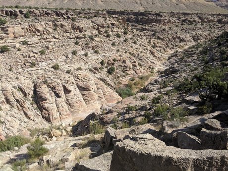 elTigre00 pornstar hot image