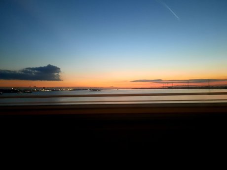 Bloem feet high quality star pics