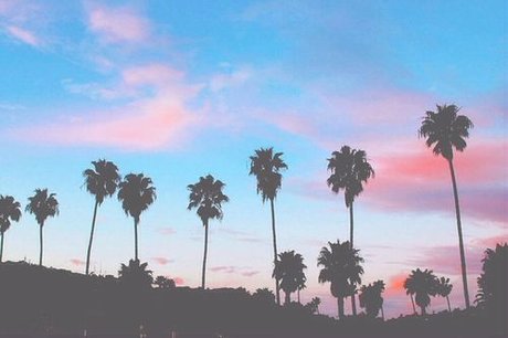 Emma Sunflower best pornstar archive