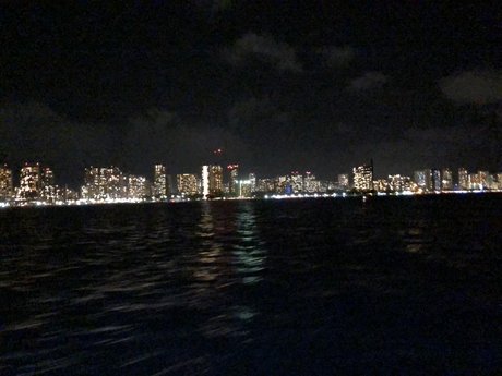 Dorymonster adult model archive