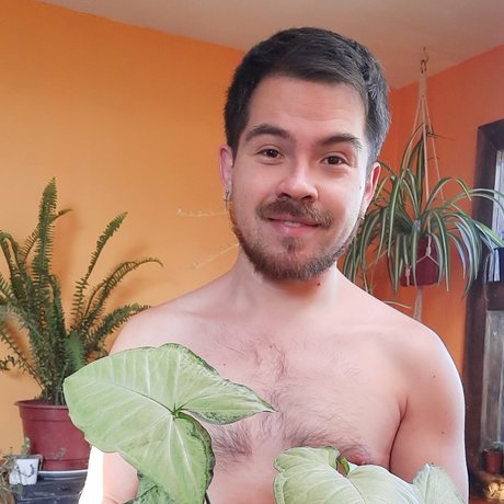 NachoPlantitas sex pornstar photo