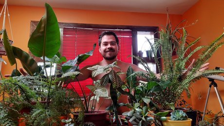 NachoPlantitas perfect pornstar gallery