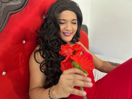 dominantcock star best gallery