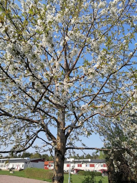 Curvy Libby best star pic