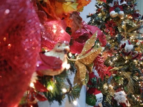 Darling Inoa art star photos