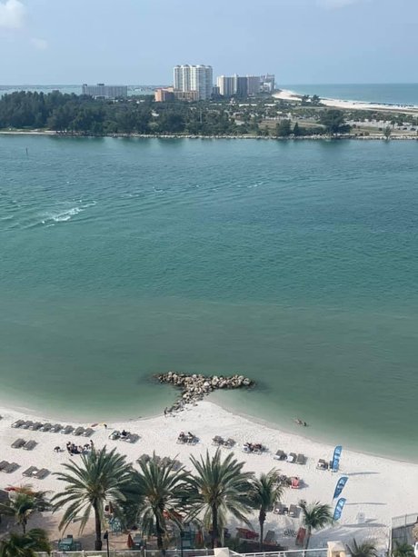 SexyBbwWoman sexy pornstar galleries