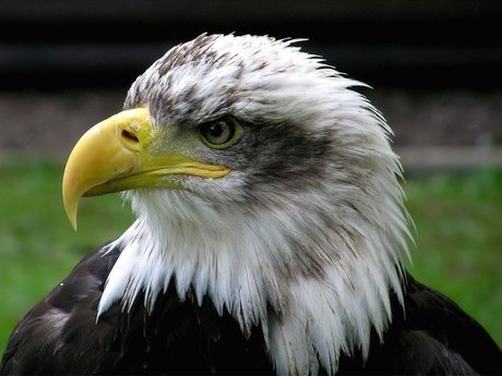 Tiffani_ model best picture