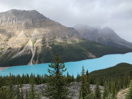 Nancy Van nudes model image