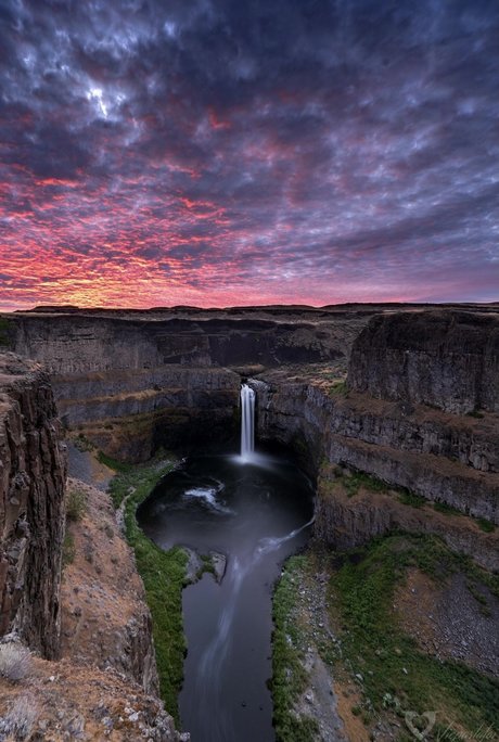 Blackpanther actress photos