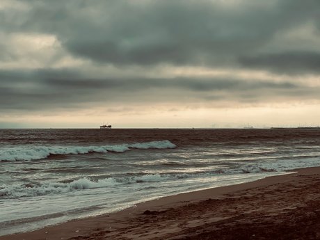 DixonRiley art star img