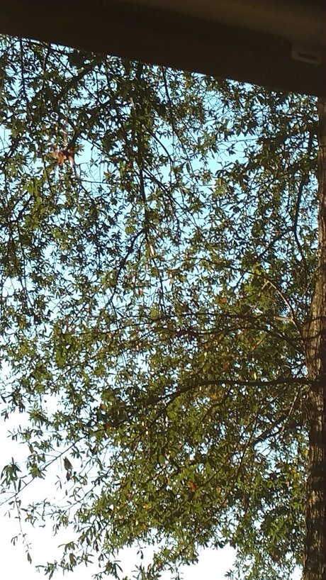 nanabyo model xxx img