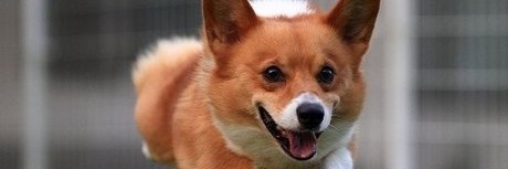 Summer Horror Party model art picture