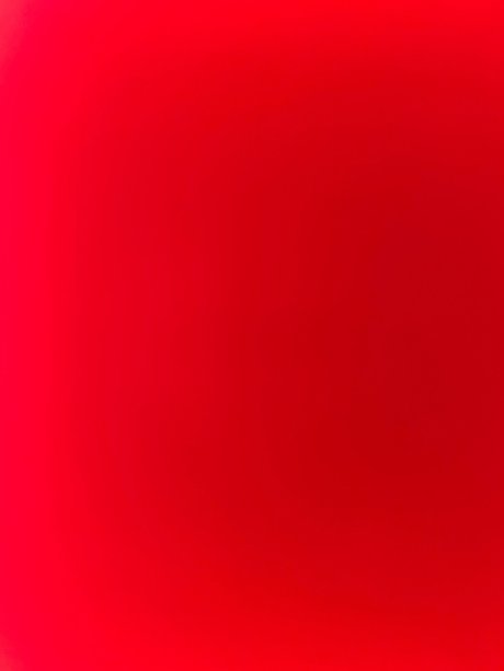 Natasha Hill pornographic star pic