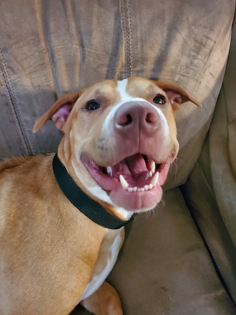 star teen onlyfans free sexy picture