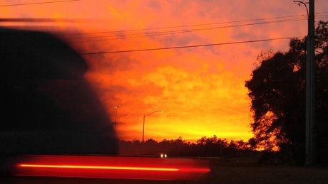 Freekman nice star archive