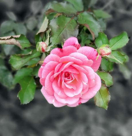 cosplay femboy onlyfans hot nude img