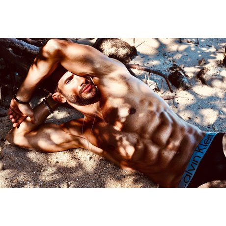 Freedome pornstar pretty image