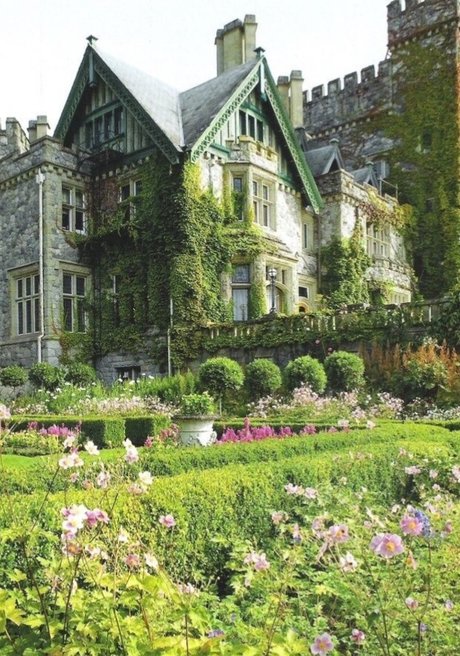 curly and curvy sexy star images