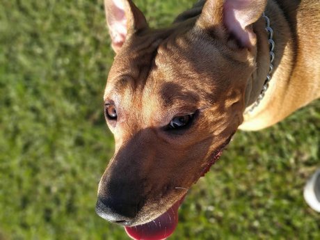 squirt teen onlyfans hot xxx pictures