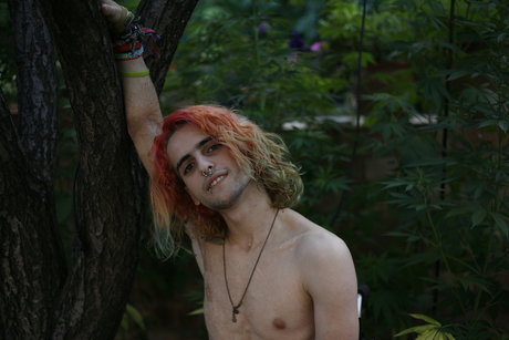 naughty on wheels nude actress gallery