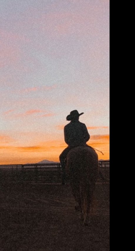 Dottie Walker sexy star image