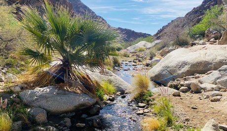 Oasis_ pornographic star photo