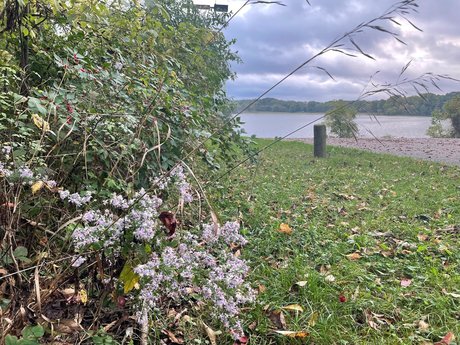 N A T U R E B A B E S star nudes archive