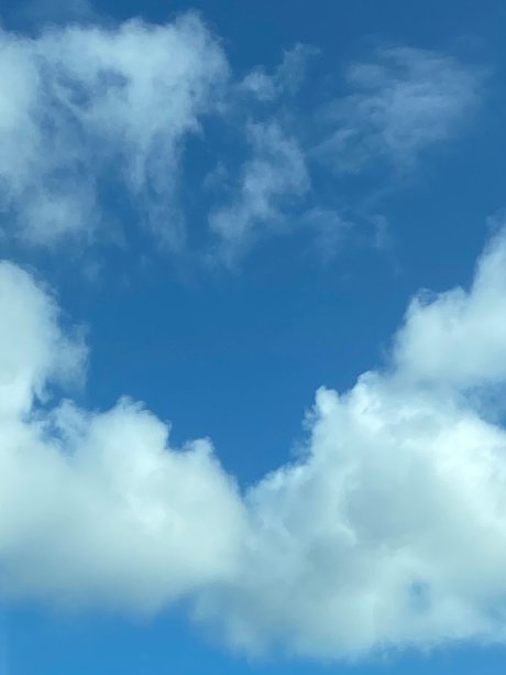 Cassandra Tapia nude actress img