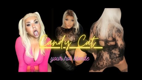 Candy Cat All inclusive_ free pornstar pic