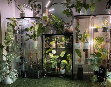 CrashXXX star adult photos