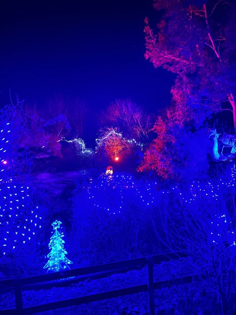 victoria preece nudes star pictures