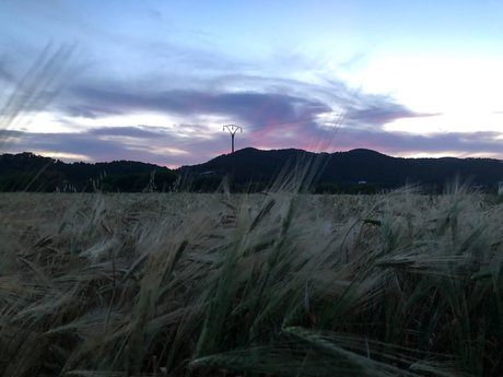 PrincessXX hot pornstar picture