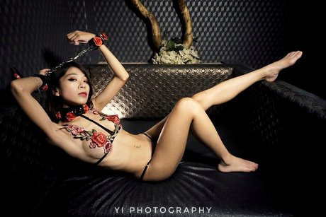 Amy Lee star hot photo