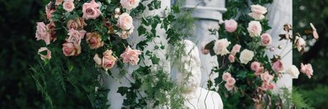 shemale asshole onlyfans art xxx gallery