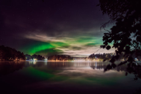 Neonerotic xxx pornstar pic