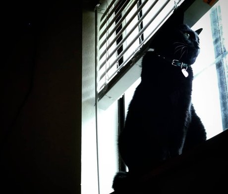 NekOwO nudes model images