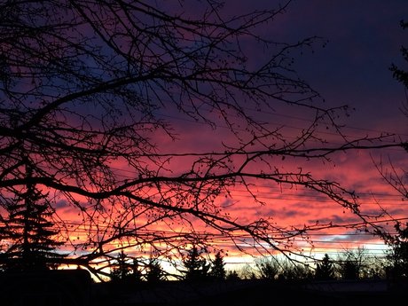 lesbian massage onlyfans best archive