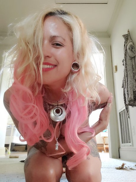 Irreverent unicorn model top image